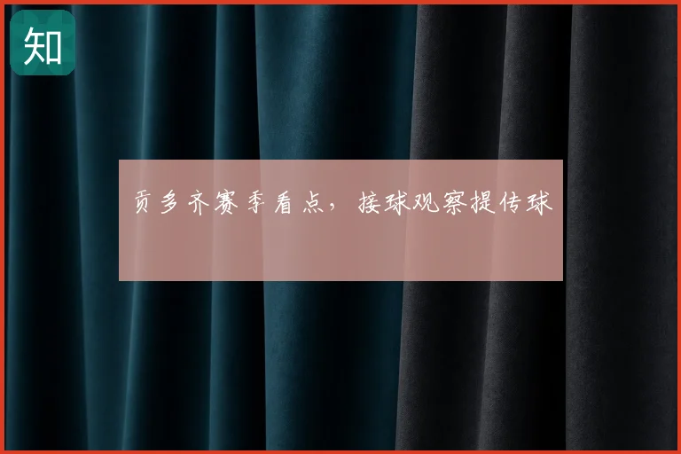 贡多齐赛季看点，接球观察提传球